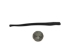 Black Bear Baculum: Black Dyed - 378-07B-AS (Y2L)