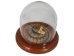 Mounted Rattlesnake in Dome: X-Small - 400-RS-58M (Y2LRG)