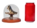 Mounted Rattlesnake Head and Rattle in Dome - 400-RS-58R (Y2LRG)