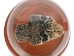 Mounted Rattlesnake Head and Rattle in Dome - 400-RS-58R (Y2LRG)