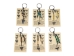 Fossil Shark Tooth Keyring with Card - 42-FST01-AS (Y1XC22)