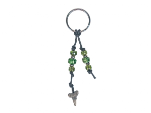 Fossil Shark Tooth Keyring with Card fossil shark tooth keychains, fossil shark teeth keychains, fossil shark teeth keyrings