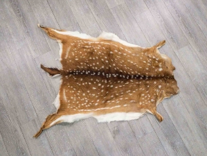 Axis Deer Hide: Medium 