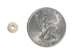 6mm Round Bone Beads (100/box) - 520-6 (Y1JC03)