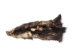 North American Opossum Skin: Dark Trading Post - 527-DTP (Y2LWR)