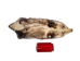 North American Opossum Skin: Trading Post - 527-TP (Y2LWR)