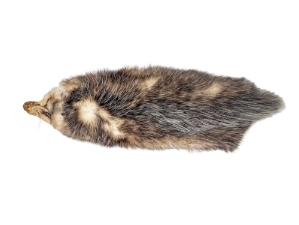 North American Opossum Skin: Trading Post 