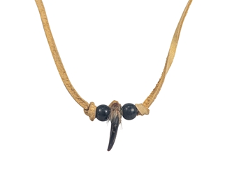 Real 1-Claw Coyote Necklace 