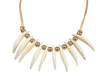 Real 10-Tooth Coyote Necklace 