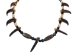 Real 9-Claw Bear Necklace - 560-Q154 (Y1JC06)
