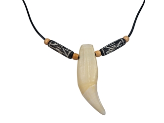 Real 1-Tooth Bear Necklace 