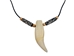 Real 1-Tooth Bear Necklace - 560-Q161N (P18)