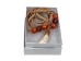 Real 1-Tooth Moose Necklace - 560-Q618 (Y1JC03)