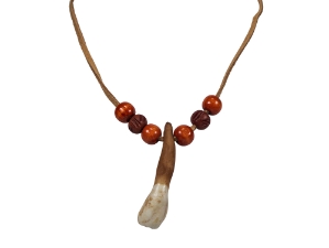 Real 1-Tooth Moose Necklace 