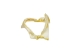 Bull Shark Jaw 3" to 4": Assorted - 561-J16-03-AS (Y3KRB)