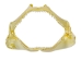 Bull Shark Jaw 3" to 4": Assorted - 561-J16-03-AS (Y3KRB)