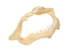 Plastic Shark Jaw 5" - 561P-05-AS (8UQ)