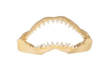 Plastic Shark Jaw 5" replica shark jaws, reproduction shark jaws, realistic shark jaws
