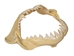 Plastic Shark Jaw 10" - 561P-10-AS (8UL27)