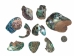 Paua Shell Pieces: Premium (1/4 lb) - 565-TPDU-PP-4 (Y3MRB)