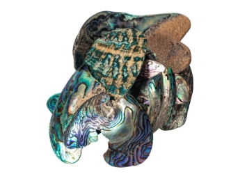 Paua Shell Pieces: Premium (1/4 lb) 