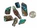 Paua Shell Pieces: Gloss Drilled: Large (1/4 lb) - 565-TPGDL-4 (Y3LRH)