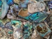 Paua Shell Pieces: Gloss Drilled: Large (1/4 lb) - 565-TPGDL-4 (Y3LRH)