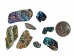 Paua Shell Pieces: Gloss Drilled: Medium (1/4 lb) - 565-TPGDM-4 (Y3LRK)