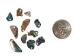 Paua Shell Pieces: Gloss Drilled: Small (1/4 lb) - 565-TPGDS-4 (Y3MRB)
