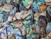 Paua Shell Pieces: Gloss Drilled: Small (1/4 lb) - 565-TPGDS-4 (Y3MRB)