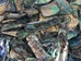 Highly Polished Paua Shell Pieces: Assorted 15-50mm (1/4 lb) - 565-TPHPAS-4 (9UL2)