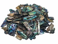 Highly Polished Paua Shell Pieces: Assorted 15-50mm (1/4 lb) 