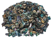Highly Polished Paua Shell Pieces: Assorted 15-50mm (1 kg or 2.2 lbs) 