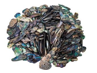 Paua Shell Pieces: Satin: Fine (1/4 lb) 