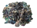Paua Shell Pieces: Satin: Fine (1/4 lb) - 565-TPSF-4 (Y3MRE)