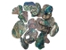 Paua Shell Pieces: Satin: Medium (1/4 lb) - 565-TPSM-4 (Y3LRK)