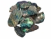 Paua Shell Pieces: Satin: Medium (1/4 lb) - 565-TPSM-4 (Y3LRK)