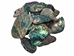 Paua Shell Pieces: Satin: Medium (1/4 lb) - 565-TPSM-4 (Y3L)