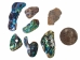 Paua Shell Pieces: Satin: Small (1/4 lb) - 565-TPSS-4 (Y3MRE)