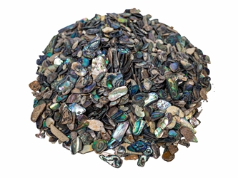 Paua Shell Pieces: Satin: Extra Fine (1/4 lb) 