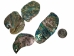 Paua Shell Pieces: Satin: Extra Large (1/4 lb) - 565-TPSXL-4 (Y3MRE)