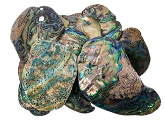 Paua Shell Pieces: Satin: Extra Large (1/4 lb) 