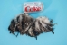 Chinchilla Coque Rooster Tail Feathers (lb) - 571-07 (Y1LC03)