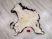 Moose Hide Quarter: Gallery Item - 575-QTR-G4965 (Y1HRG)