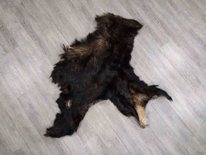 Moose Hide Quarter: Gallery Item 