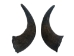 Matching Pair of Large North American Buffalo Horn Caps: #1 Grade - 576-2LM1-AS