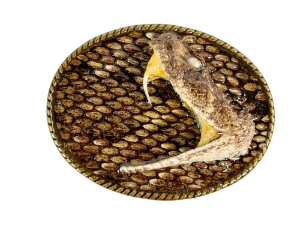 Real Rattlesnake Belt Buckle: Single Striker 
