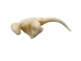 Real #1 Rattlesnake Fang: Large - 598-F1-L (Y2HC17)