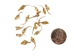 Real #1 Rattlesnake Fang: Small - 598-F1-S (Y2HC16)
