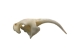 Real #1 Rattlesnake Fang: Small - 598-F1-S (Y2HC16)